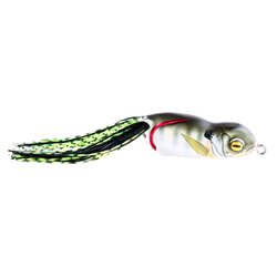 SCUMFROG LAUNCH FROG 21 g